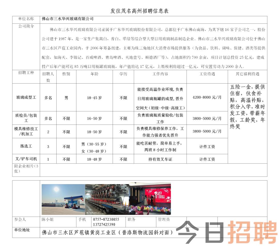 瑞安飛云最新招聘信息概覽