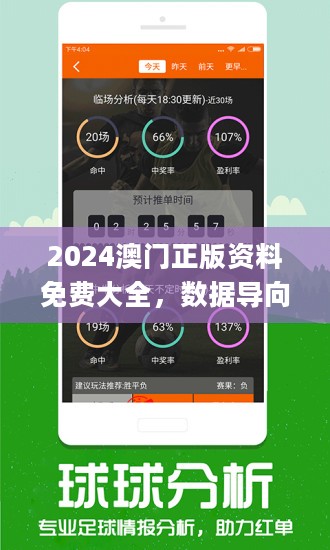 新澳2024正版免費(fèi)資料,新澳2024正版免費(fèi)資料，探索與啟示