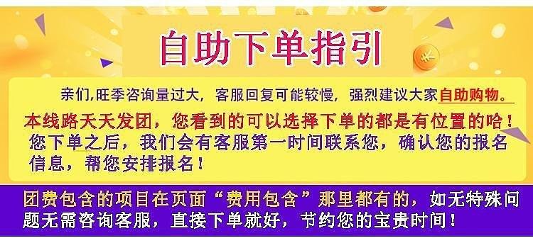 新澳門天天開好彩大全,新澳門天天開好彩背后的風險與警示