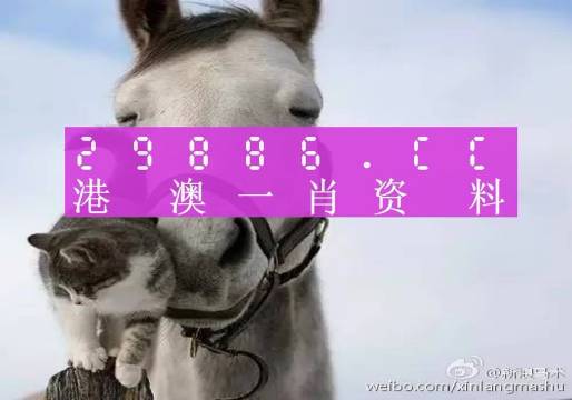 澳門一肖一碼準(zhǔn)選一碼2023年,澳門一肖一碼準(zhǔn)選一碼與犯罪問題探討（2023年）