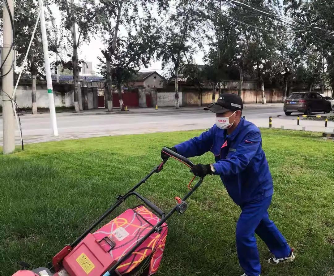 香溪雅地最新房價,香溪雅地最新房價動態(tài)，市場走勢與購房指南