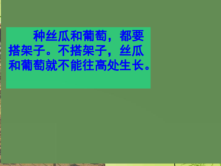 爬山虎的腳說(shuō)課稿最新,爬山虎的腳說(shuō)課稿（最新）