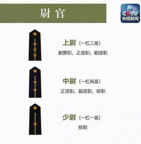 最新準將軍銜設計圖,最新準將軍銜設計圖，探索軍事榮譽的象征