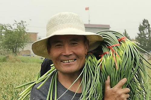 今日蒜苔最新價(jià)格行情,今日蒜苔最新價(jià)格行情分析