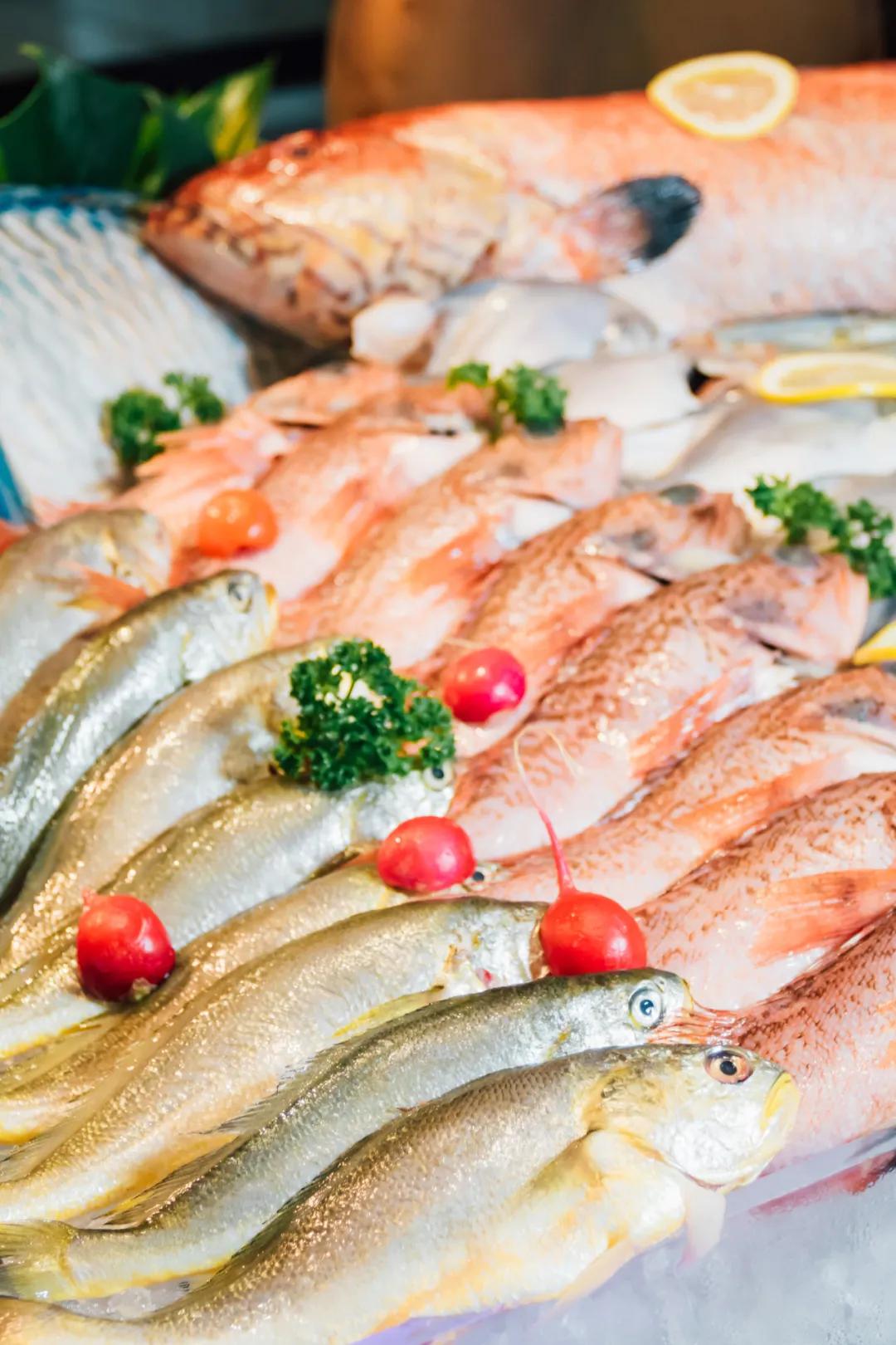 最新北京美食檔口招商,最新北京美食檔口招商，探尋美食之都的商業(yè)新機遇