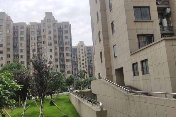 蘆灣家園最新消息,蘆灣家園最新消息全面解讀