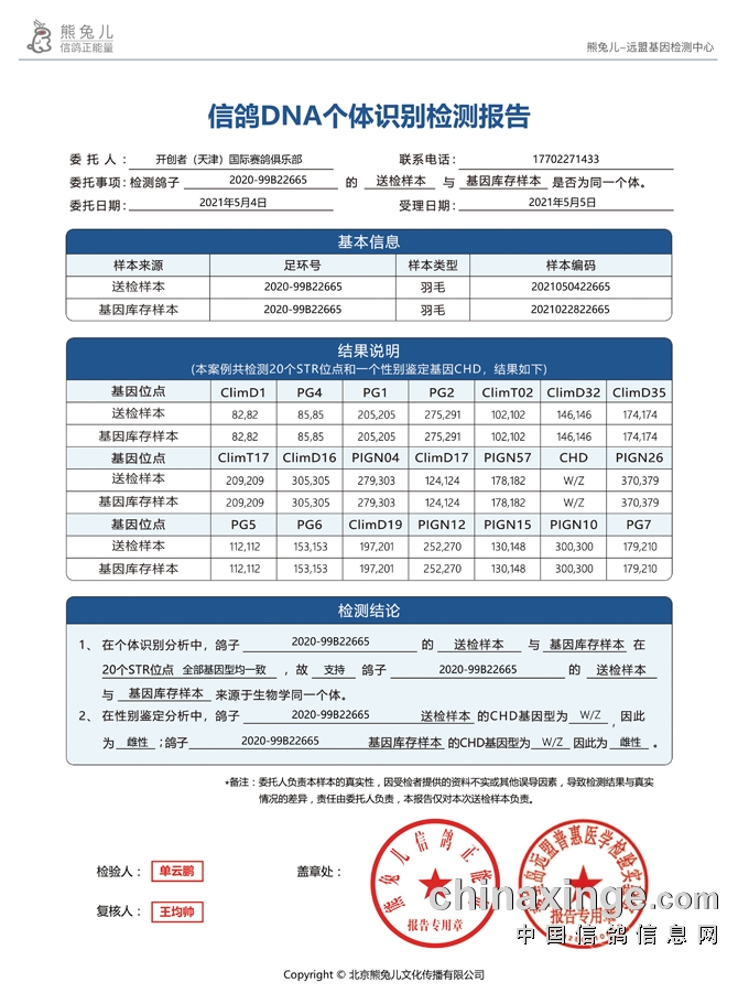 天津交通事故最新2024,天津交通事故最新報(bào)告（XXXX年）