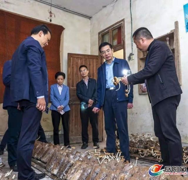 平江伍市最新招聘信息,平江伍市最新招聘信息概覽