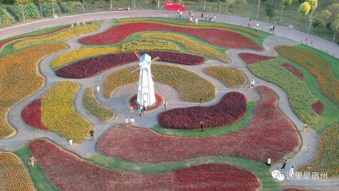 宿州植物公園最新消息,宿州植物公園最新消息