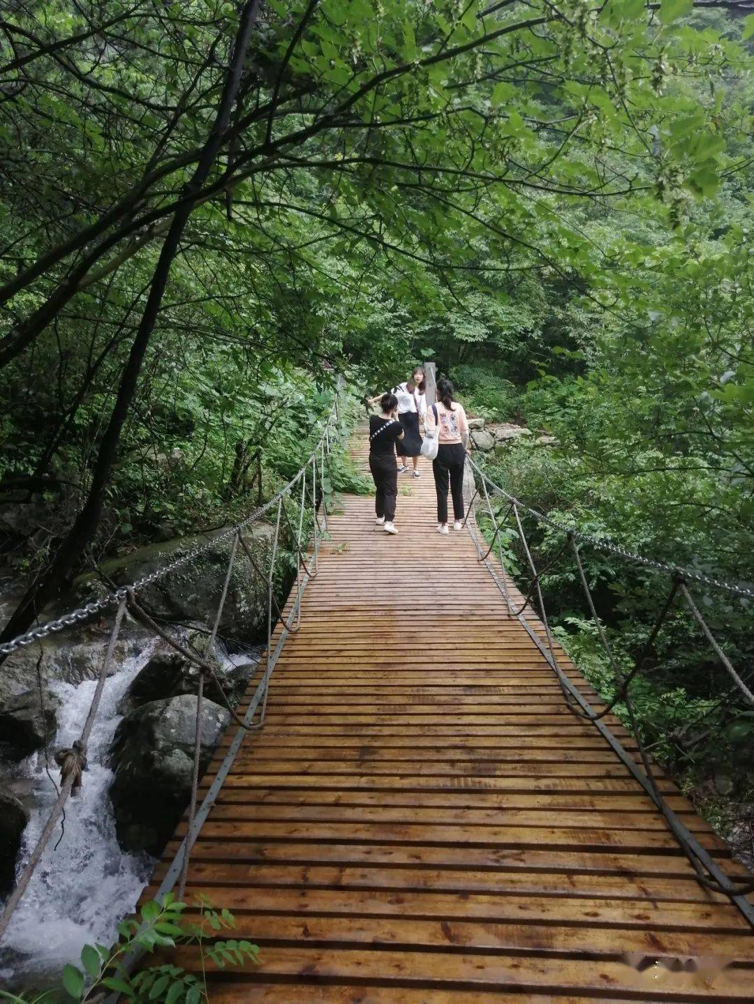 常州小黃山最新消息,常州小黃山最新動態(tài)，揭開神秘面紗，探尋自然之美