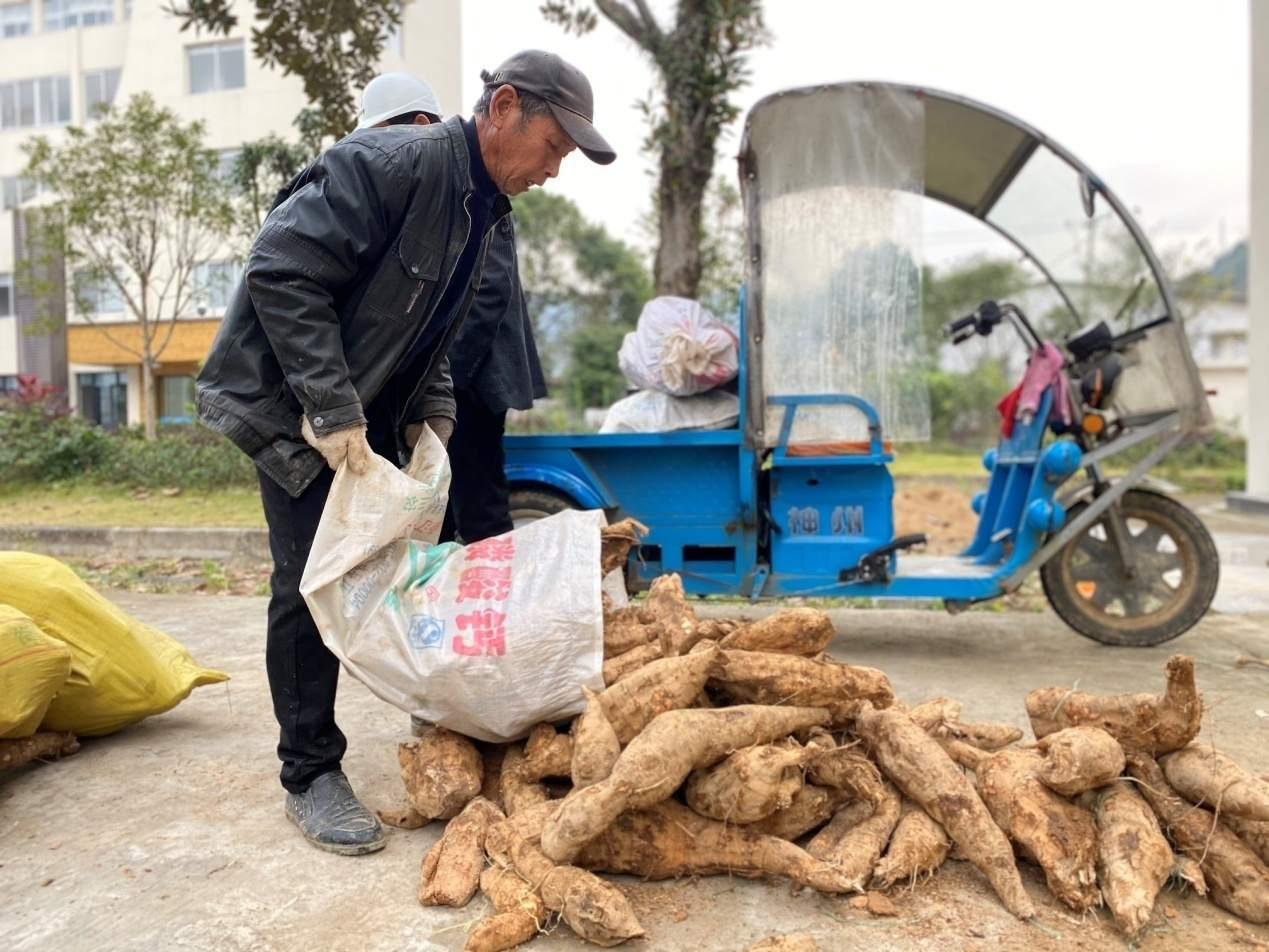 葛根粉價格2022最新價格,葛根粉價格 2022最新價格分析