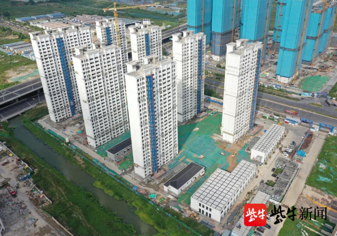 浦儀高速公路最新動態(tài),浦儀高速公路最新動態(tài)