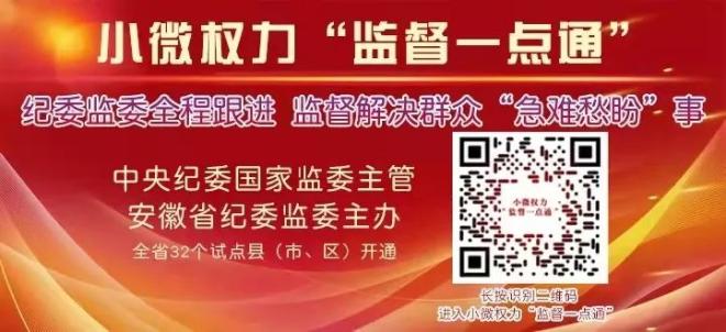 安徽省委常委最新分工,安徽省委常委最新分工及其職能領(lǐng)域的深化解讀