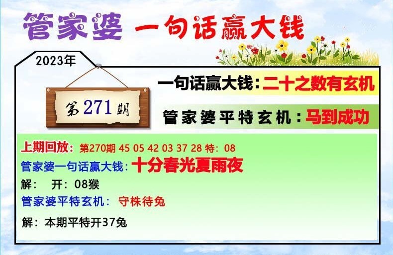 202管家婆一肖一碼,揭秘202管家婆一肖一碼，背后的真相與警示