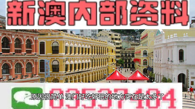 澳門最精準免費資料大全旅游團,澳門最精準免費資料大全與旅游團，探索澳門之旅