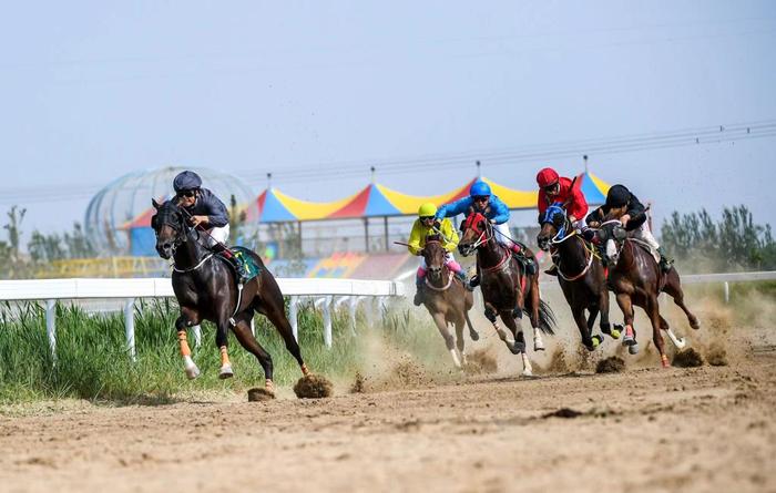 2024今晚香港開特馬,今晚香港開特馬，探索賽馬運動的魅力與未來展望