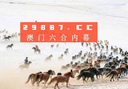 4949澳門特馬今晚開獎53期,澳門特馬第53期開獎揭曉，期待與驚喜交織的夜晚