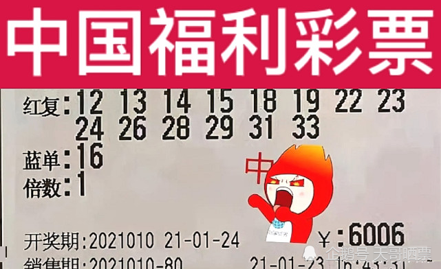 新澳2024今晚開獎結(jié)果,新澳2024今晚開獎結(jié)果，期待與驚喜交織的時刻