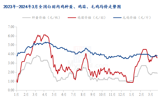 肉毛雞價格最新行情走勢,肉毛雞價格最新行情走勢分析