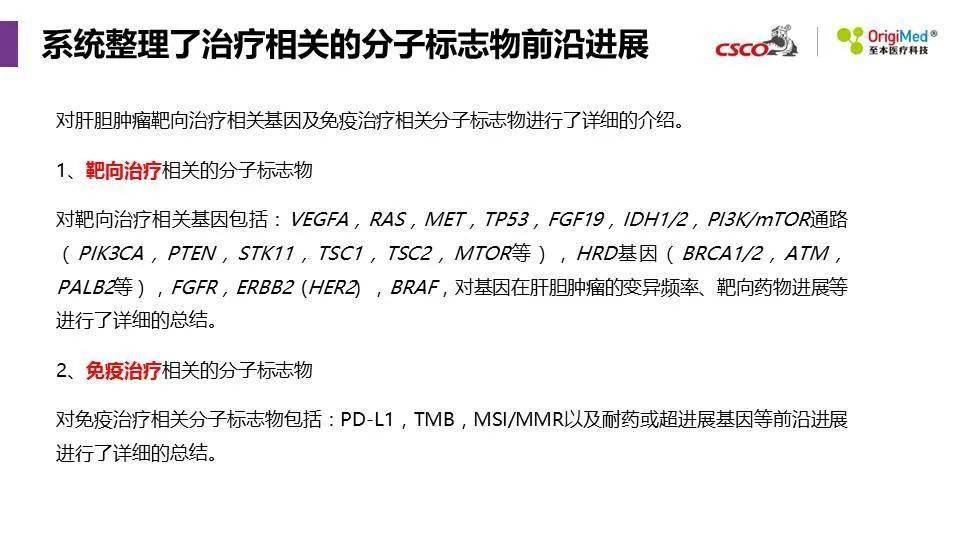 2025年新澳精準資料免費提供網站,探索未來，2025年新澳精準資料免費提供的網站展望