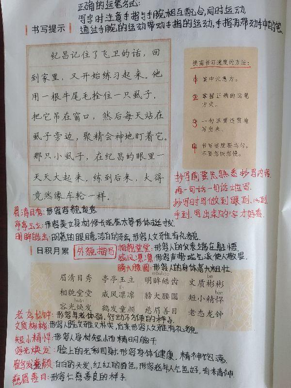 四肖八肖期期準資料長期免費,四肖八肖期期準資料長期免費，揭秘背后的秘密與真相