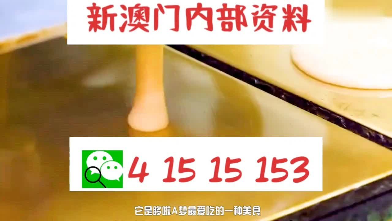 新澳門三碼中特,新澳門三碼中特，探索與發(fā)現(xiàn)