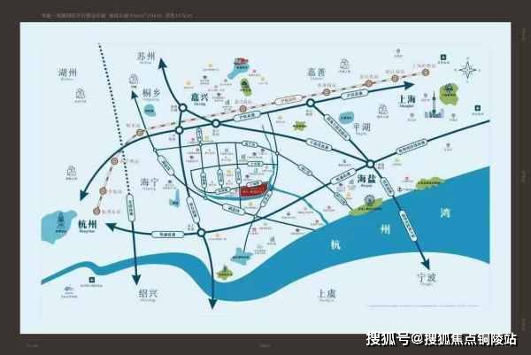 新奧四不像正版最新版本,新奧四不像正版最新版本，探索與解析