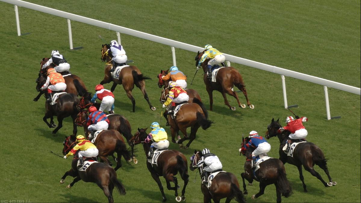 香港今晚開什么特馬,香港今晚的馬票結(jié)果預(yù)測(cè)與賽馬文化深度解析