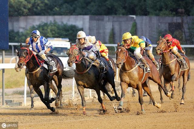 澳門今晚上開(kāi)的什么特馬,澳門今晚的馬術(shù)賽事，速度與激情的盛宴