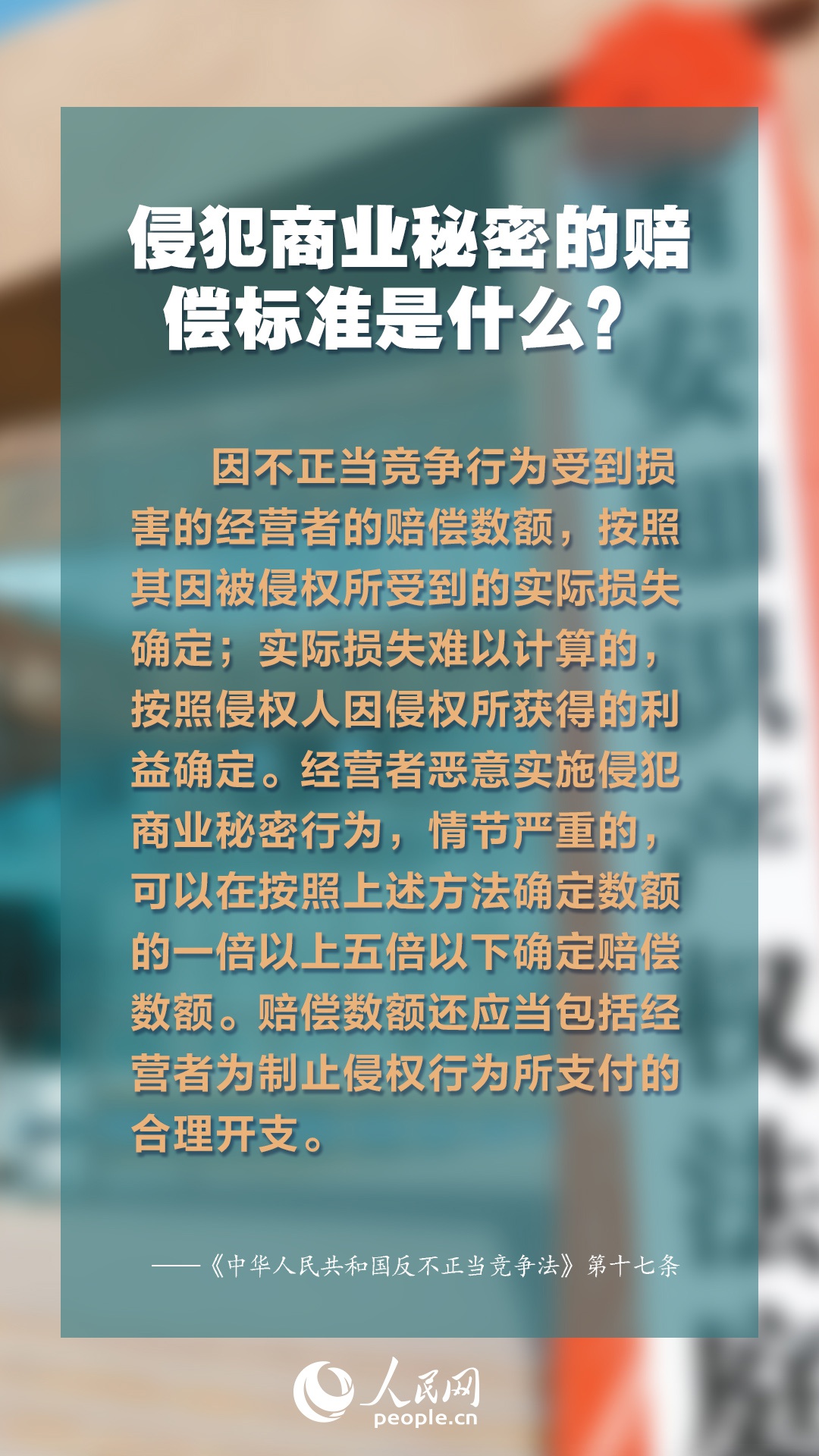 2025年正版免費資料大全最新版本,探索未來知識寶庫，2025正版免費資料大全最新版本概覽