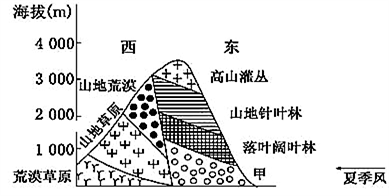 大地資源第二頁第三頁區(qū)別,大地資源的第二頁與第三頁，區(qū)別與洞察