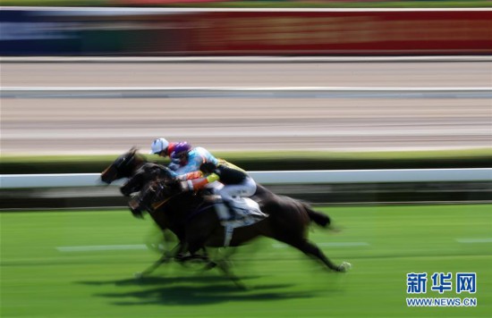 香港馬資料更新最快的,香港馬資料更新最快的地方，探索賽馬運動的最新動態(tài)與資源