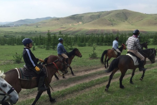 今晚澳門馬出什么特馬,今晚澳門馬會出什么樣的特馬？探索馬會神秘面紗下的秘密